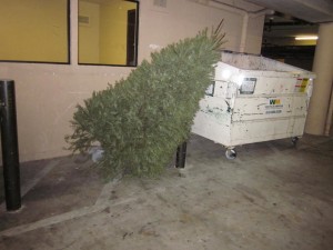 Christmas Tree and Dumpster